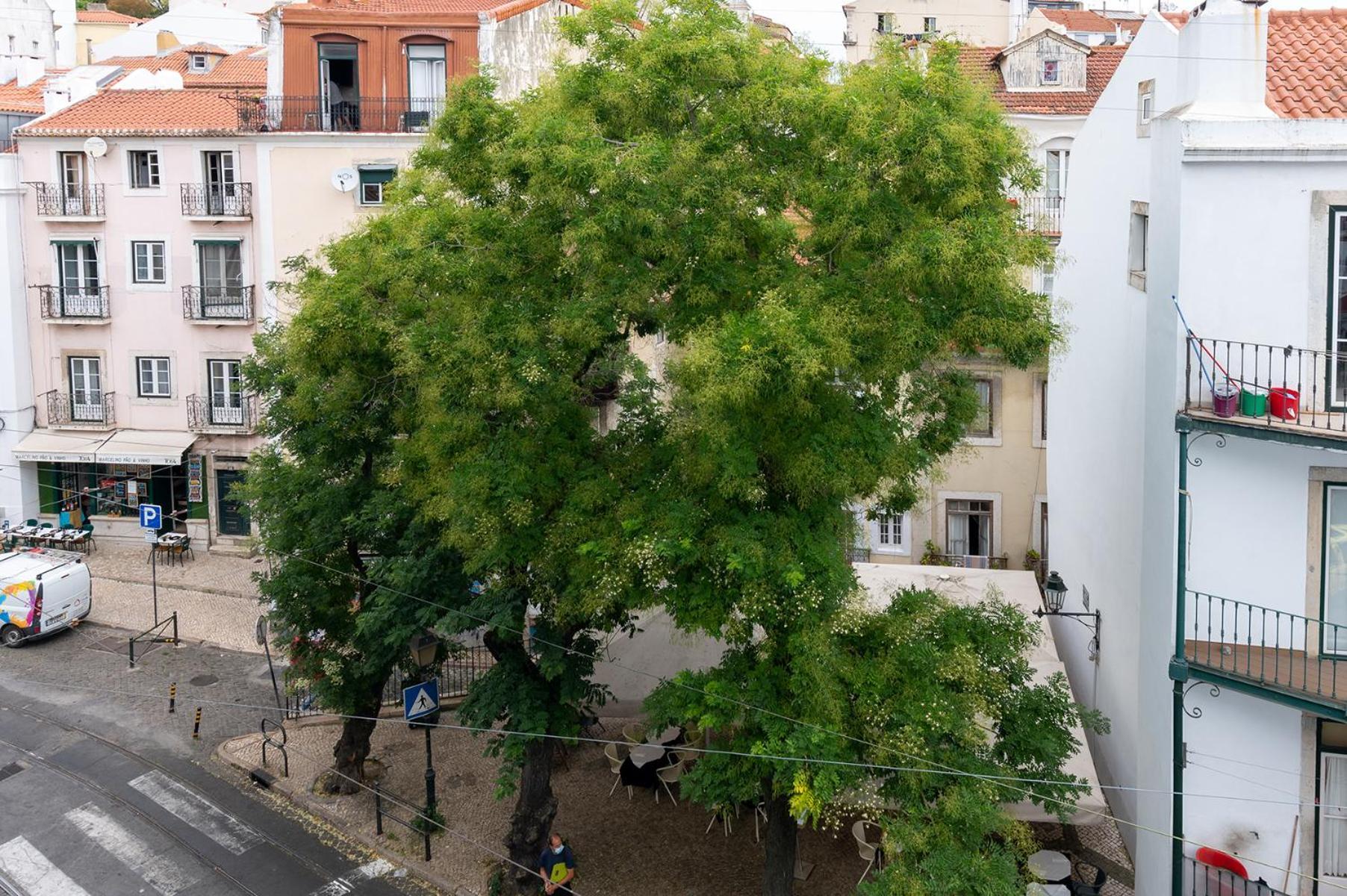 Portas Do Ceu Apartman Lisboa Szoba fotó